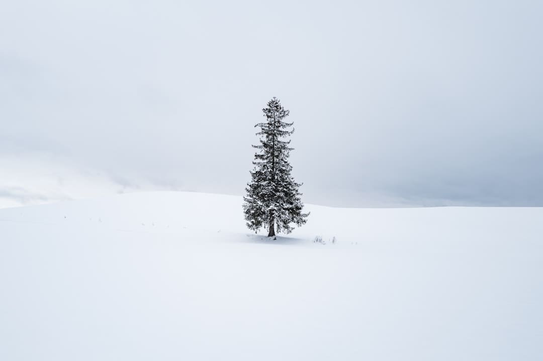 赖清德根本盘不坚定，民调持续雪崩！